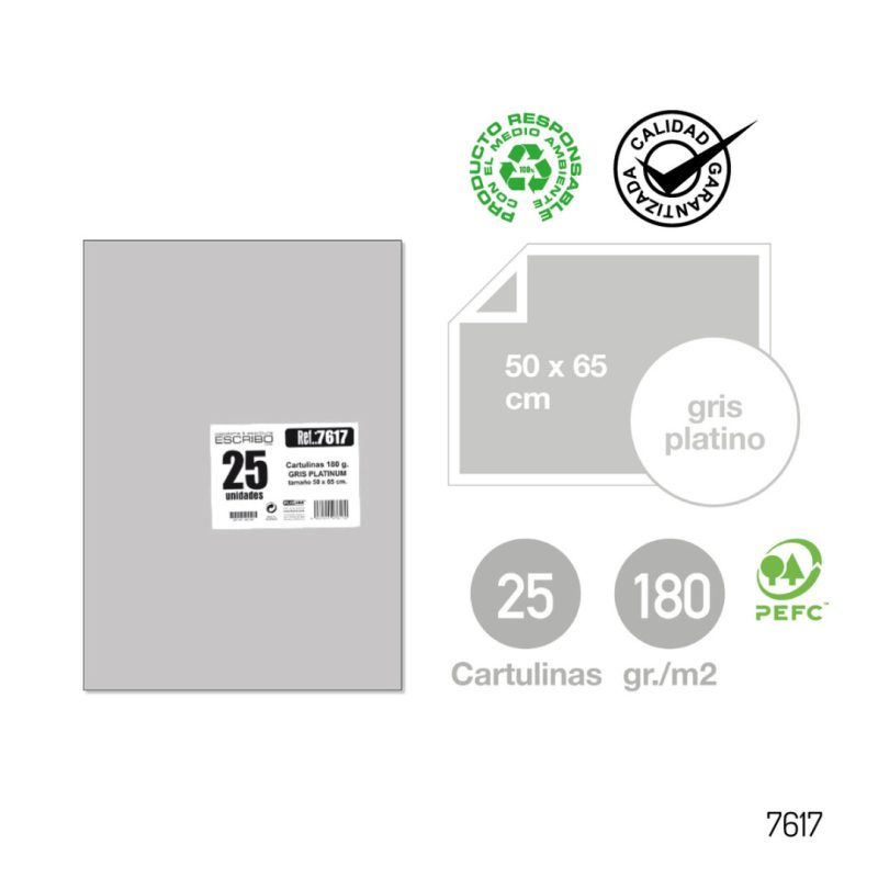 Pack 25 Cartulinas - Gris 50 x 65 cm.